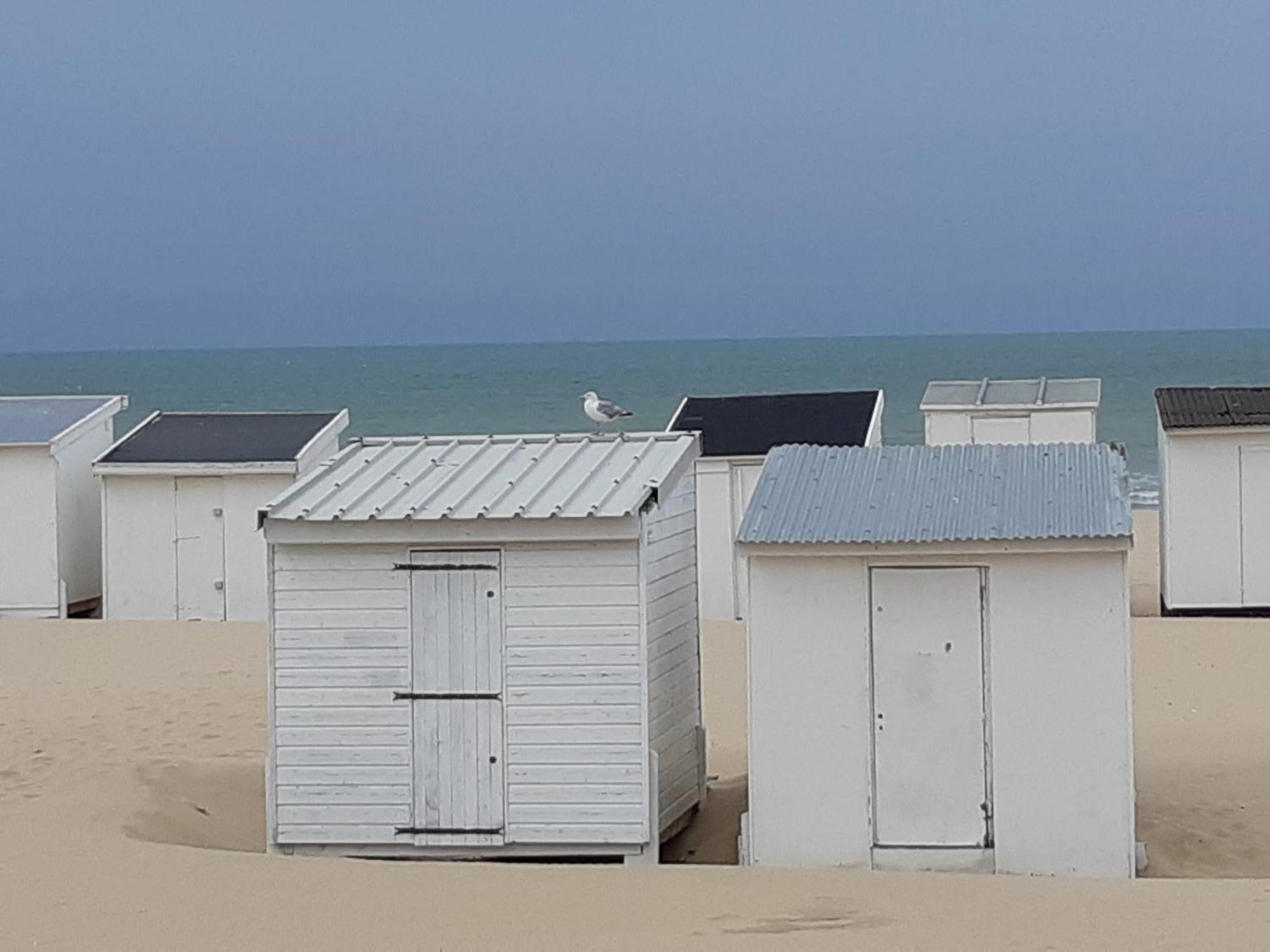 Calais Plage - Magnifique Studio - Front De Mer Esterno foto